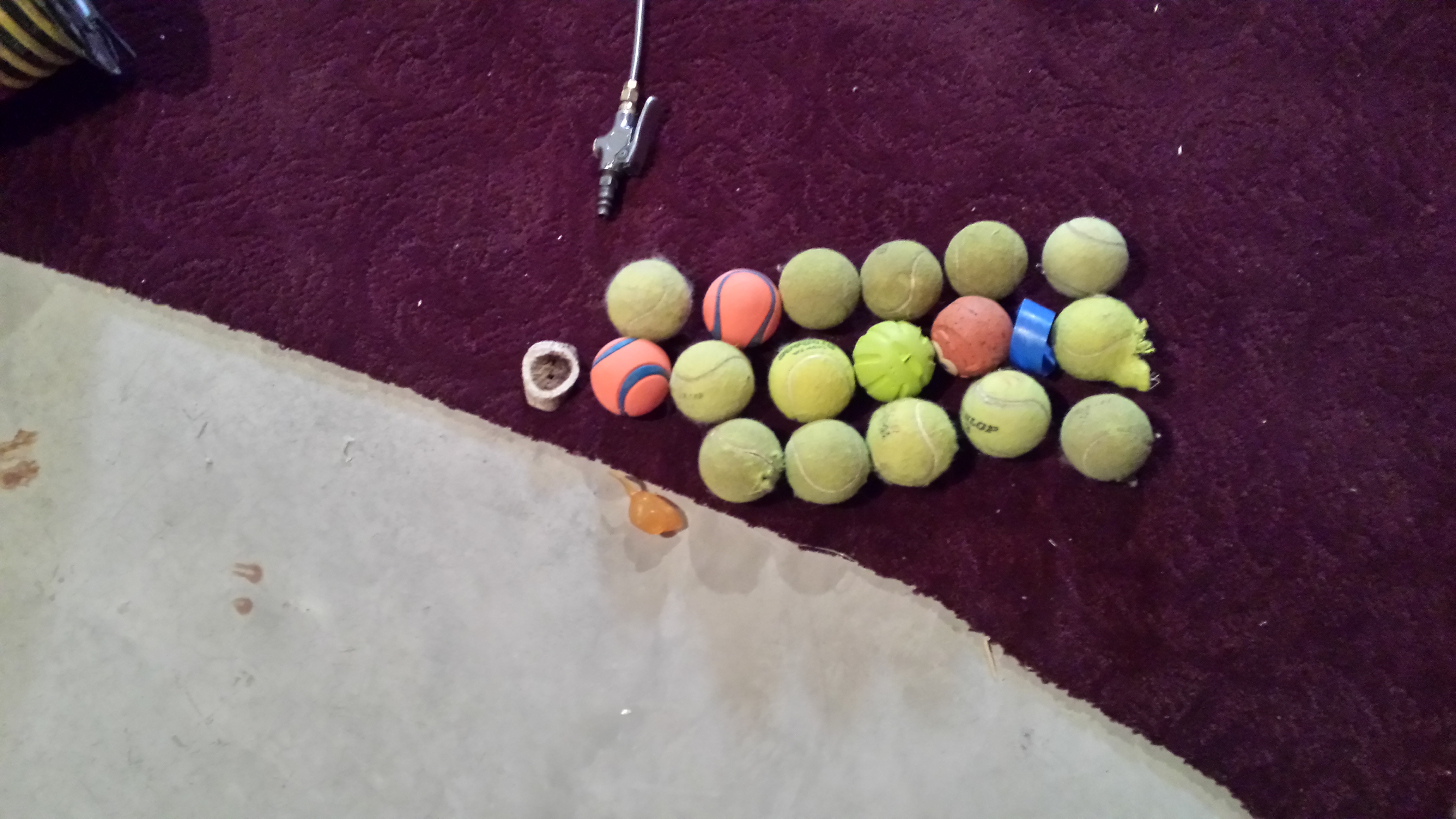 tennis balls on carpet