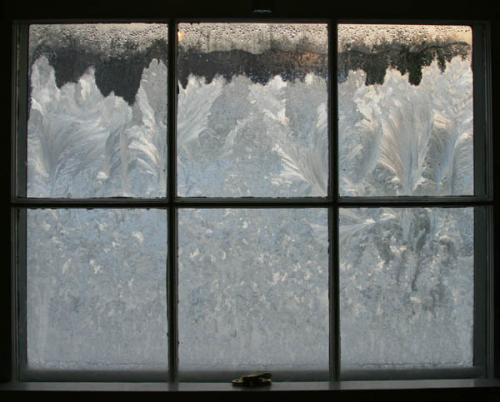 condensation on the window